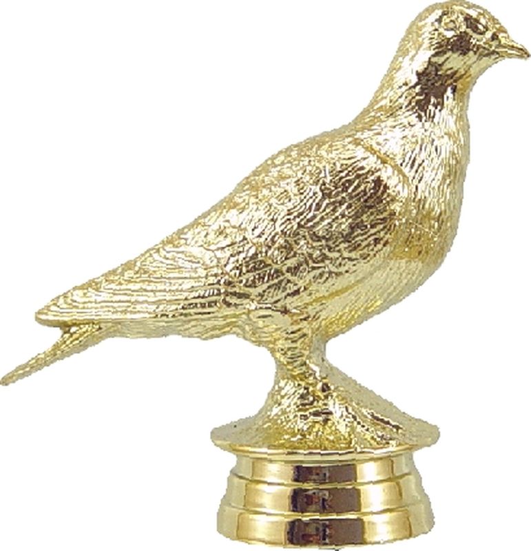 orginal_8105.jpg